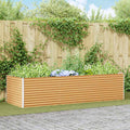 vidaXL Podniesiona rabata ogrodowa 290 x 100 x 68 cm