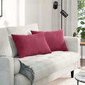 vidaXL Poduszki na sofę 2 pcs Czerwone wino 60 x 40 cm