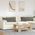 vidaXL Poduszki na sofę 2 pcs Jasnoszary 120 x 40 cm
