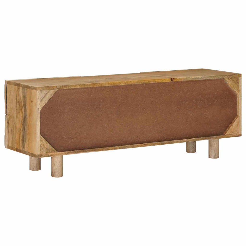 vidaXL Szafka pod telewizor z szufladą z półką 110 x 30 x 40 cm