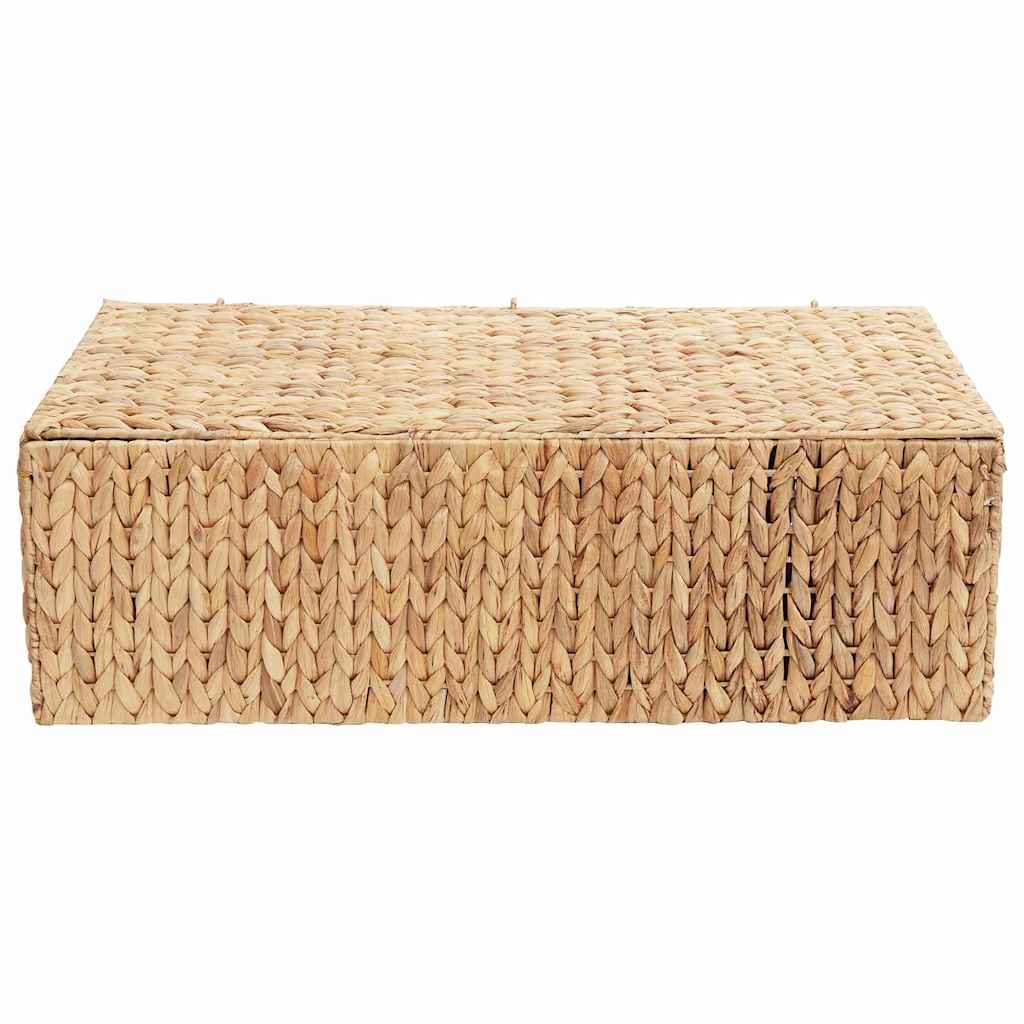 vidaXL Skrzynia do przechowywania Naturalny 60 x 38 x 20 cm