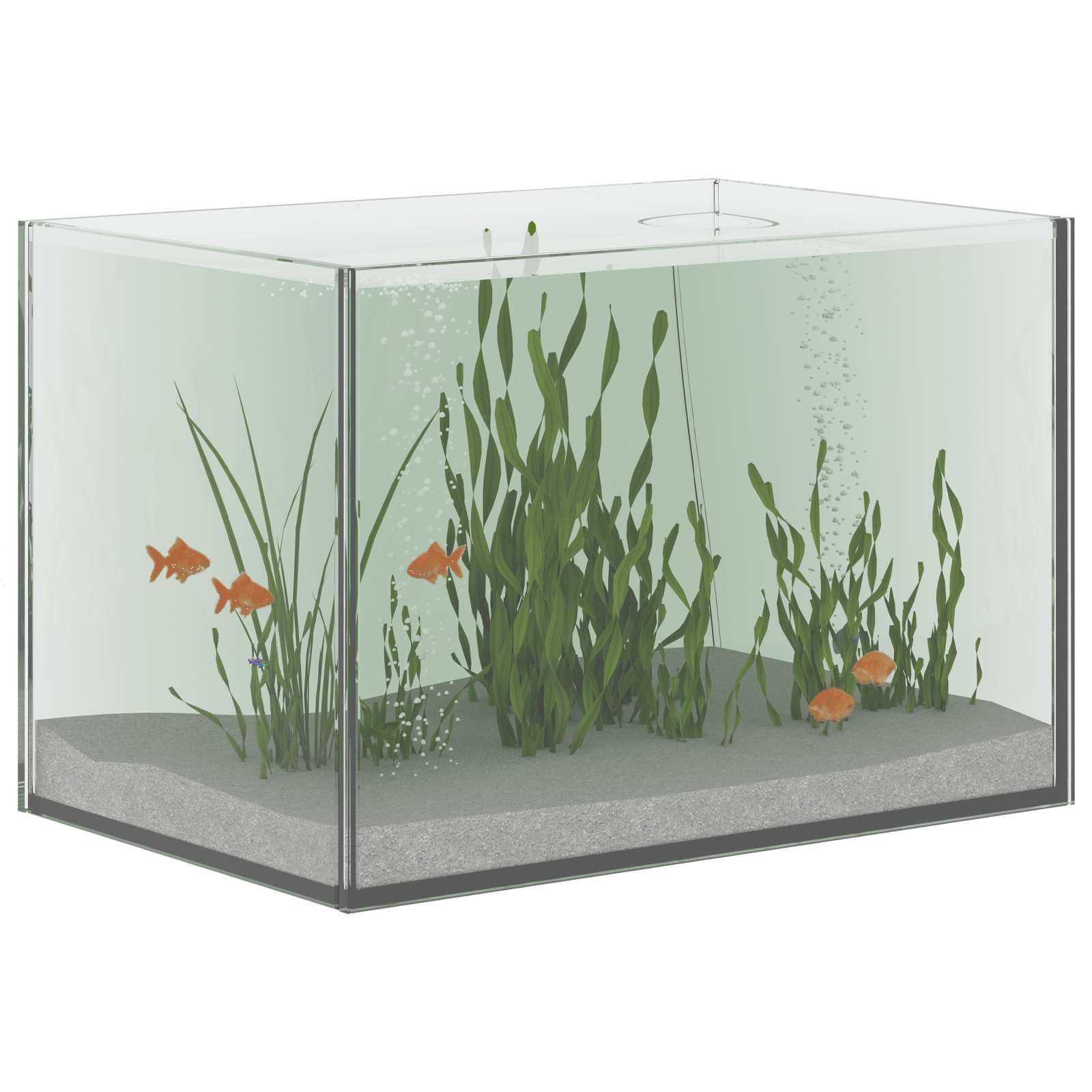 vidaXL Akwarium z przechowywaniem przezroczysty 30 x 20 x 20 cm Szkło