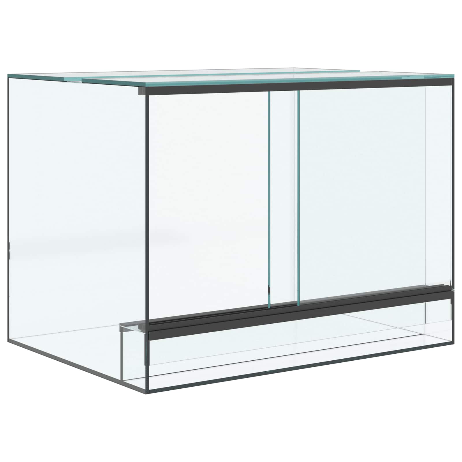 vidaXL Terrarium z przechowywaniem przezroczysty 40 x 30 x 30 cm Szkło