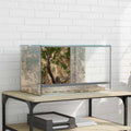 vidaXL Terrarium z przechowywaniem przezroczysty 50 x 30 x 30 cm Szkło