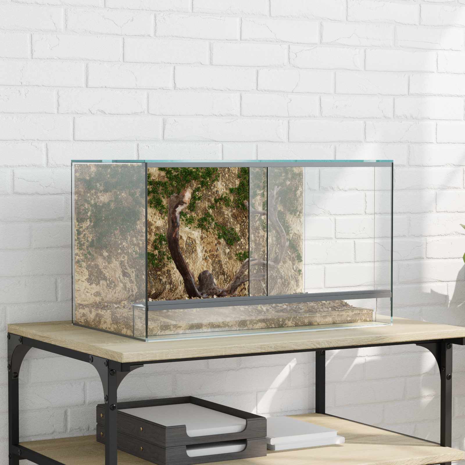 vidaXL Terrarium z przechowywaniem przezroczysty 50 x 30 x 30 cm Szkło