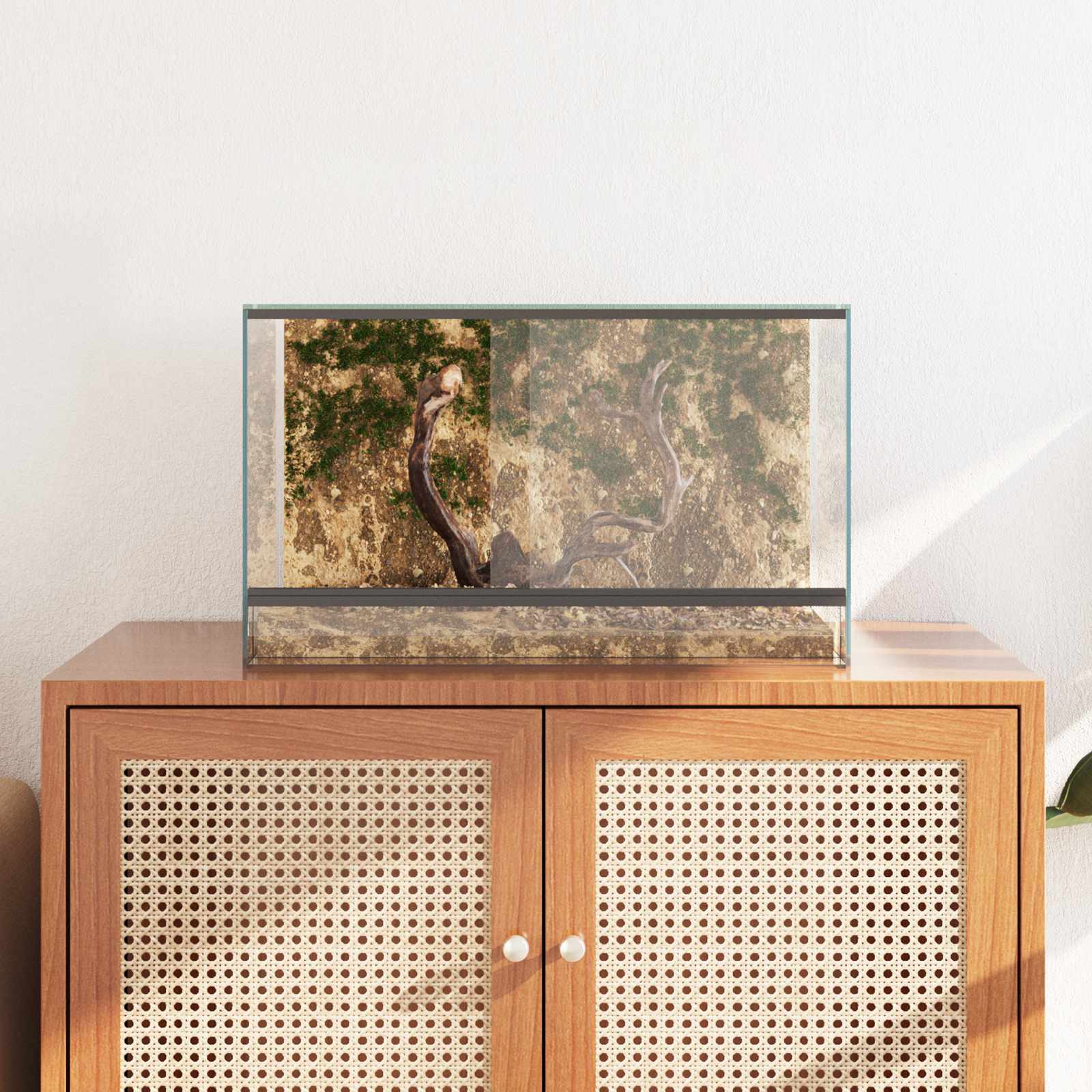 vidaXL Terrarium z przechowywaniem przezroczysty 50 x 30 x 30 cm Szkło