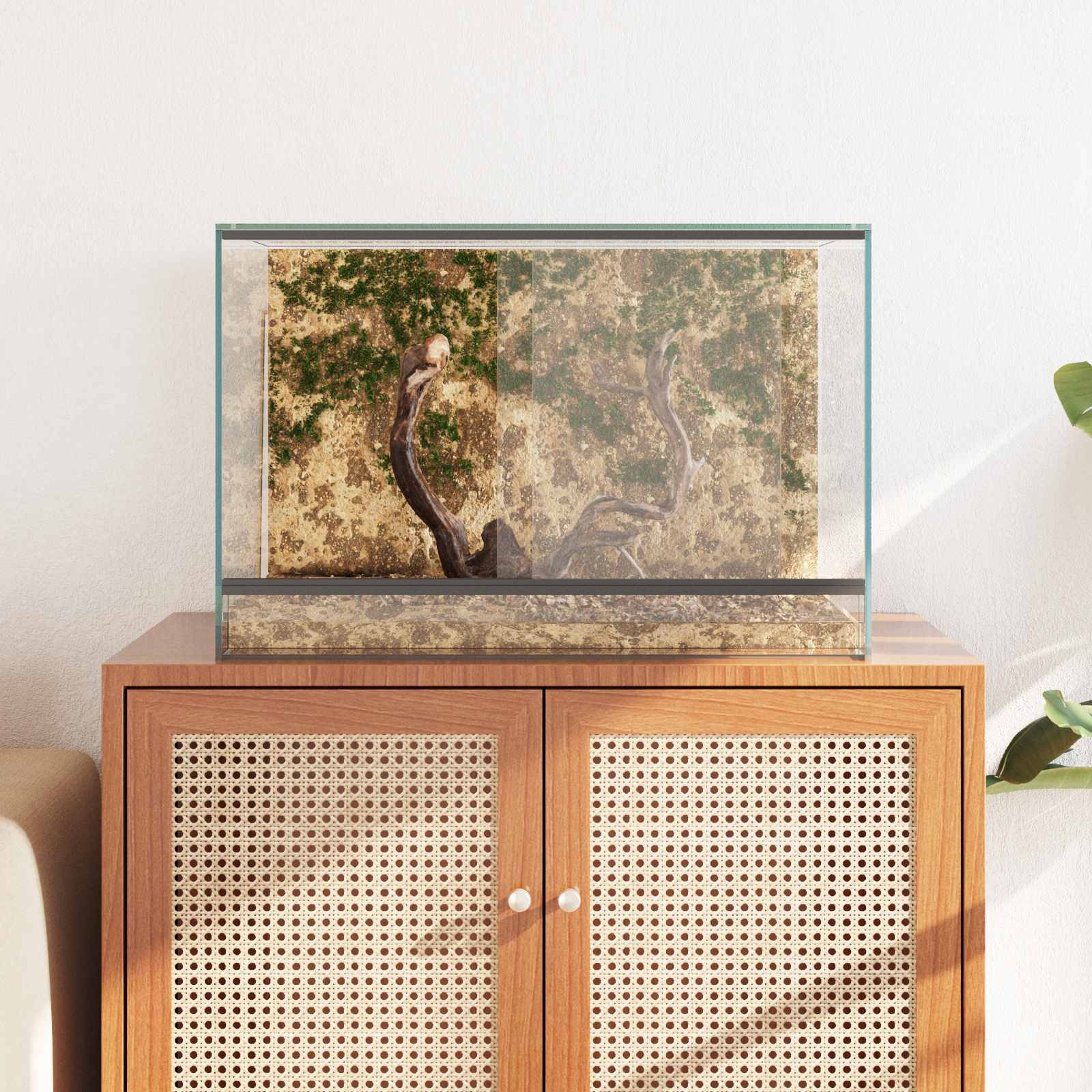 vidaXL Terrarium z przechowywaniem przezroczysty 60 x 40 x 40 cm Szkło