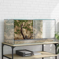 vidaXL Terrarium z przechowywaniem przezroczysty 80 x 40 x 40 cm Szkło