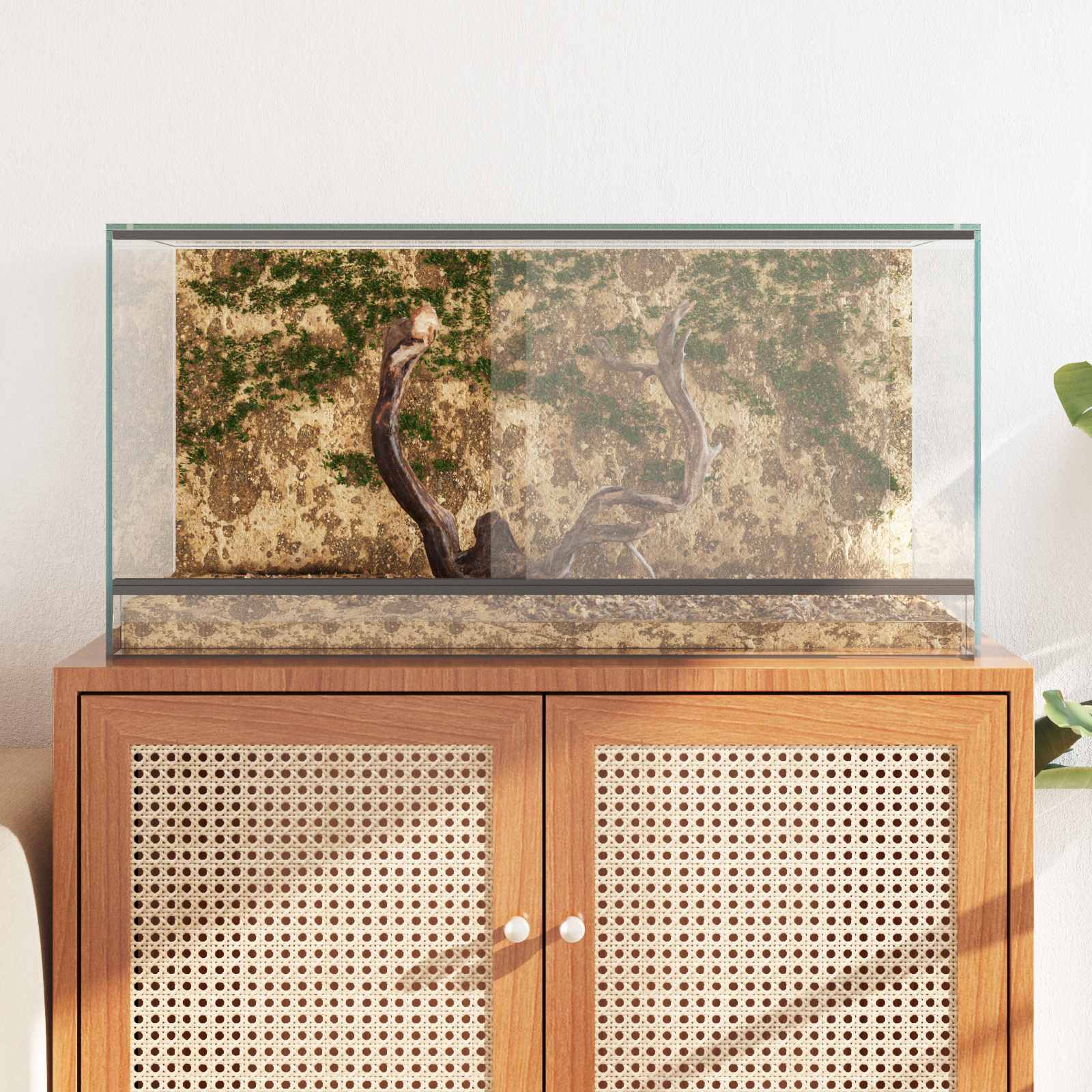 vidaXL Terrarium z przechowywaniem przezroczysty 80 x 40 x 40 cm Szkło