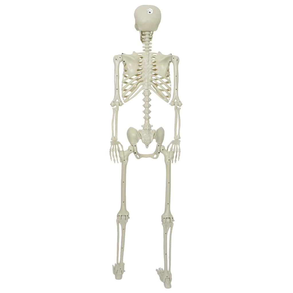 vidaXL Szkielet Halloween Biały 155 x 38,5 cm polipropylen
