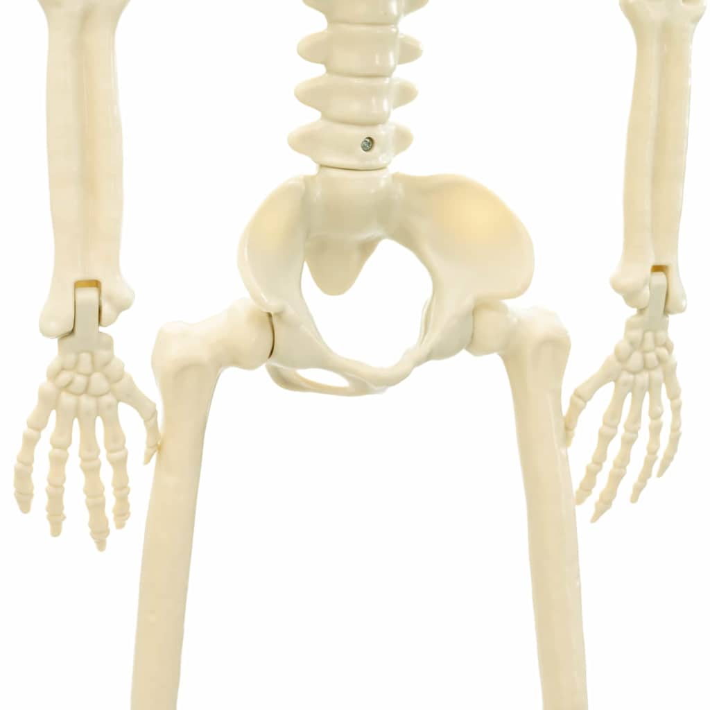 vidaXL Szkielet Halloweenowy 2 pcs Biały 85 cm PVC