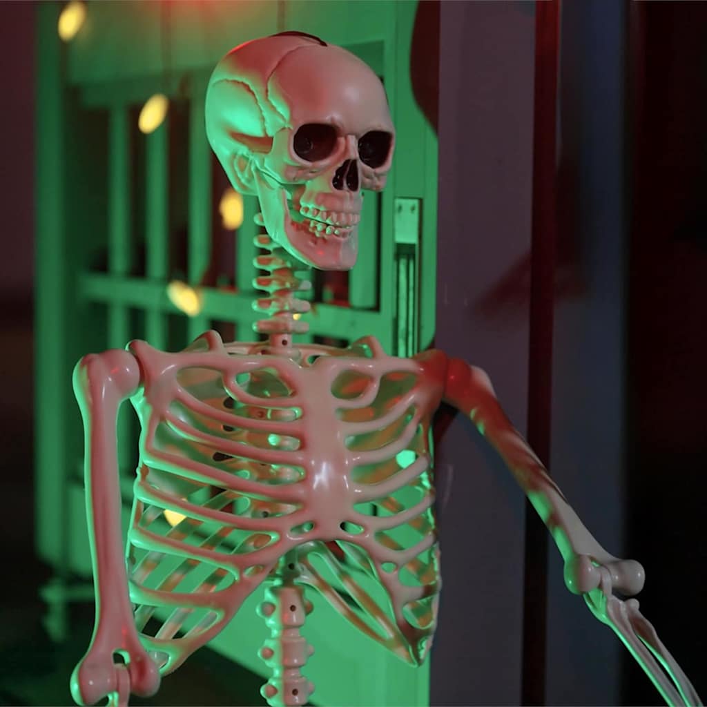 vidaXL Szkielet Halloweenowy 2 pcs Biały 85 cm PVC
