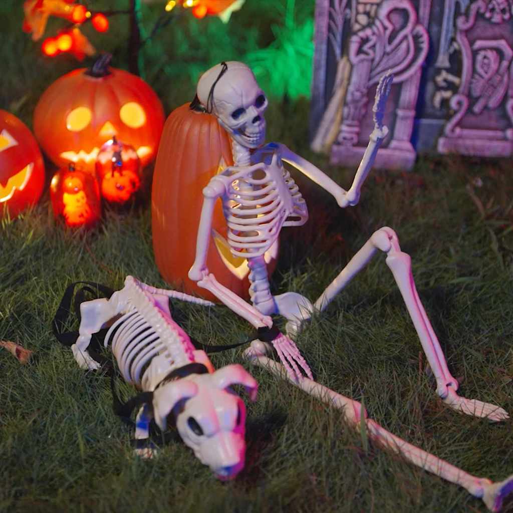 vidaXL Dekoracja Halloween Szkielet 2 pcs Biały polipropylen