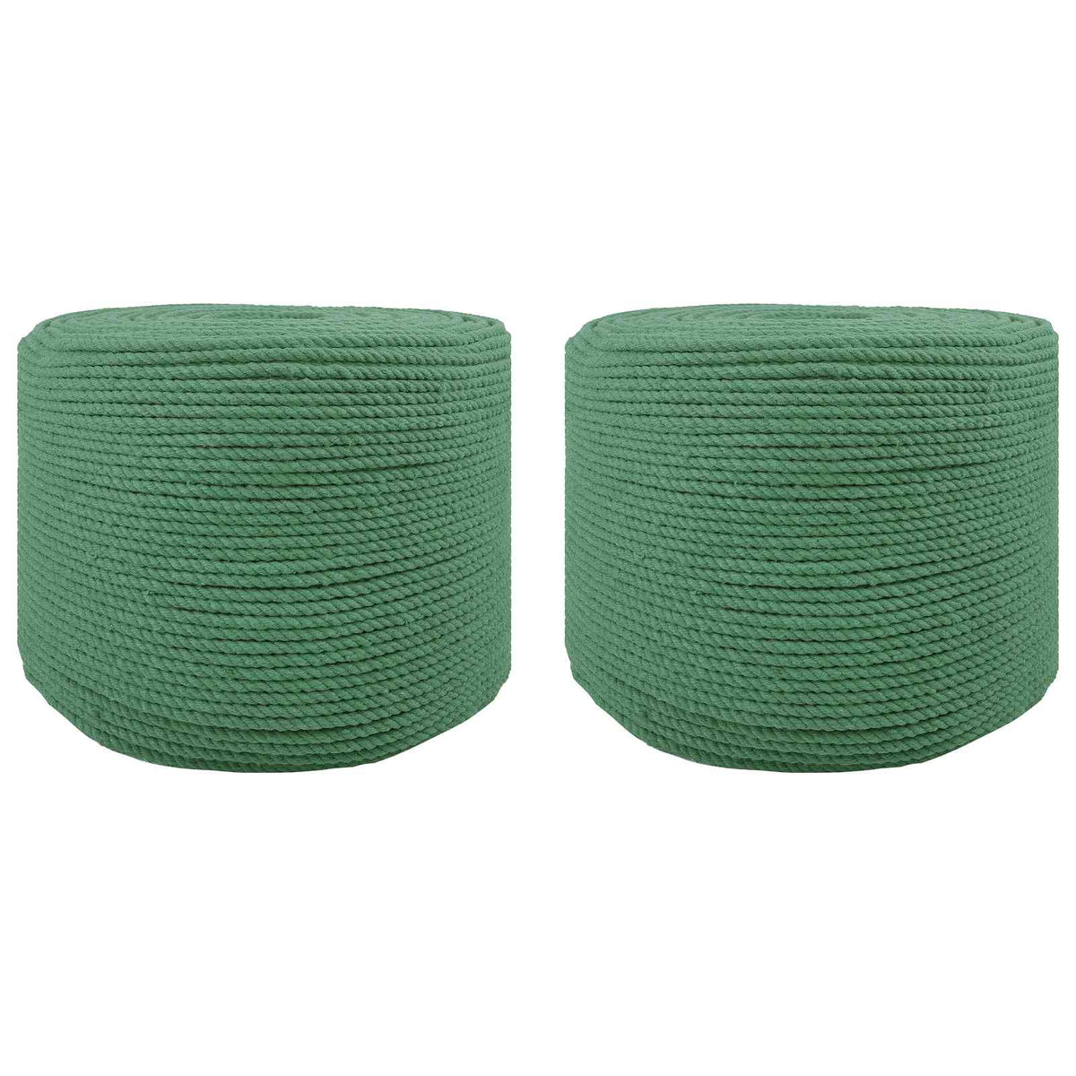 vidaXL Sznur bawełniany 2 szt. 2 mm 100 m zielony 100% bawełna
