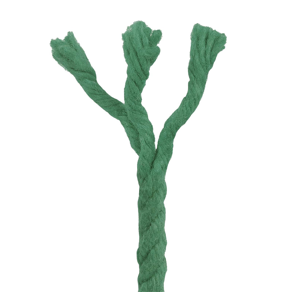 vidaXL Lina Bawełniana 6 mm 25 m zielony 100% bawełna