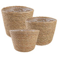 vidaXL Kosze na rośliny z trawy morskiej 3 pcs naturalny Ø26 x 19 cm