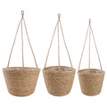 vidaXL Kosze na rośliny z trawy morskiej 3 pcs naturalny Ø26 x 19 cm
