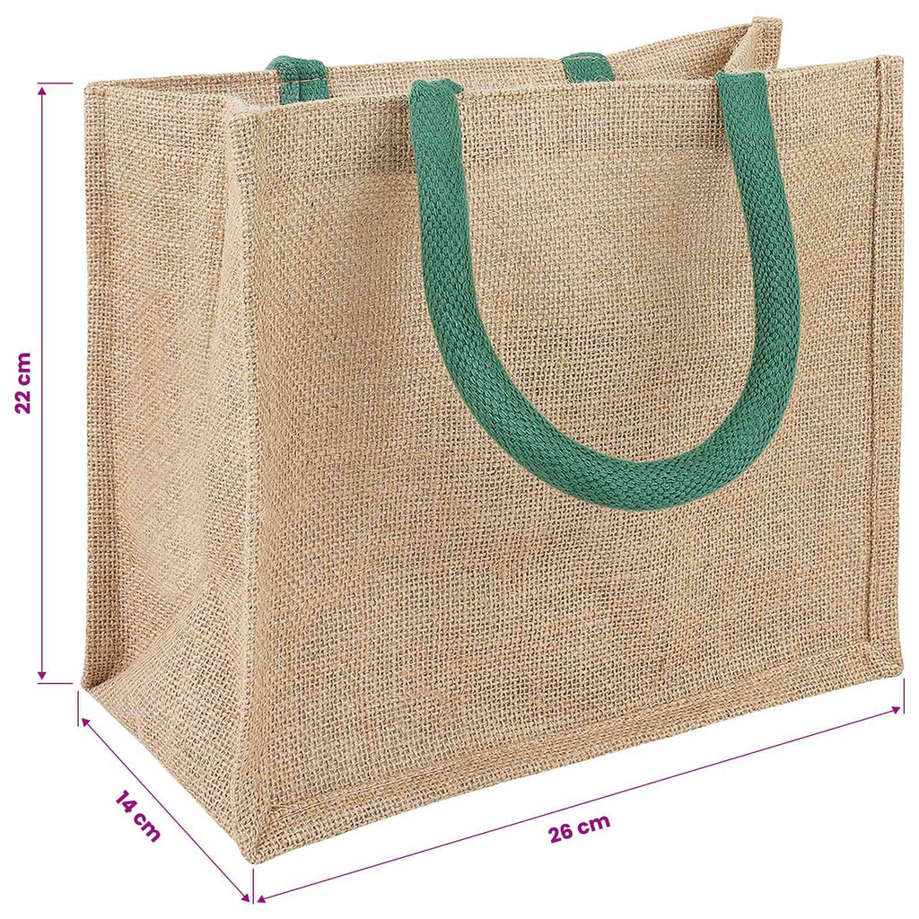 vidaXL Torebki jutowe 5 Naturalny i zielony 26 x 22 x 14 cm