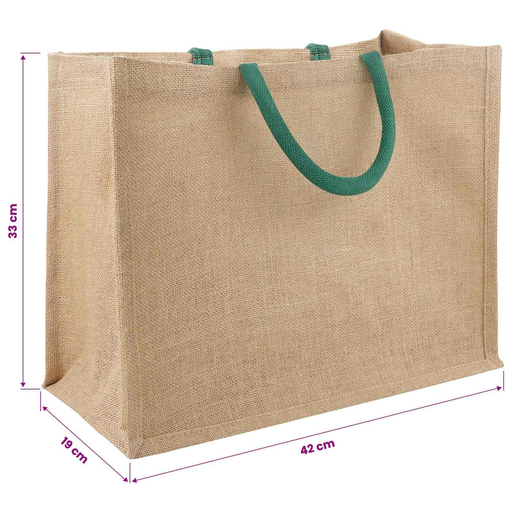 vidaXL Torebki jutowe 10 Naturalny i zielony 42 x 33 x 19 cm