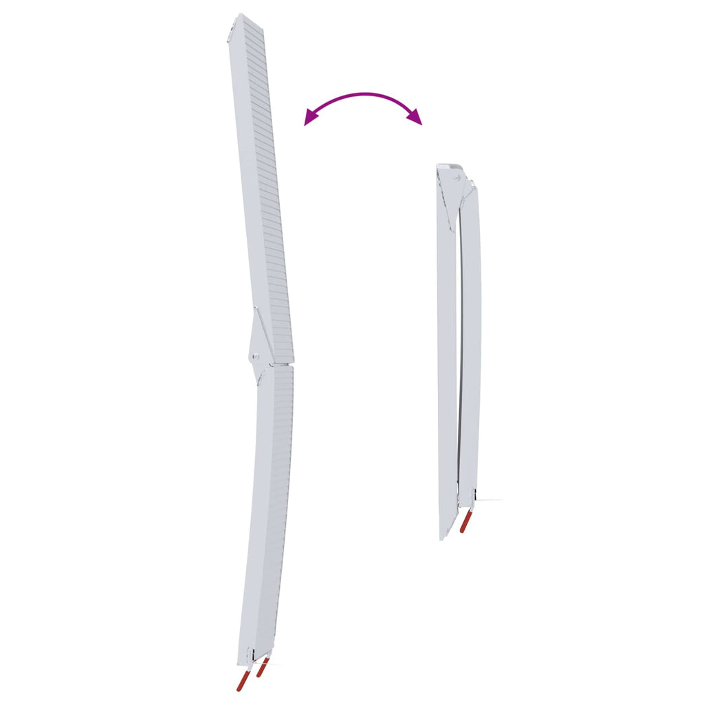 vidaXL Rampa motocyklowa 680 kg 2 pcs Srebrny 205 x 28 x 5 cm