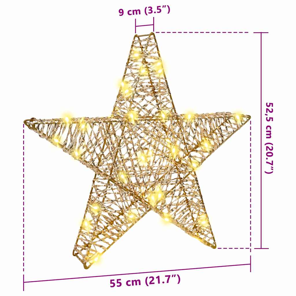vidaXL 3D Gwiazda z 50 diodami LED Ciepła biel 55 x 52.5 x 9 cm PET