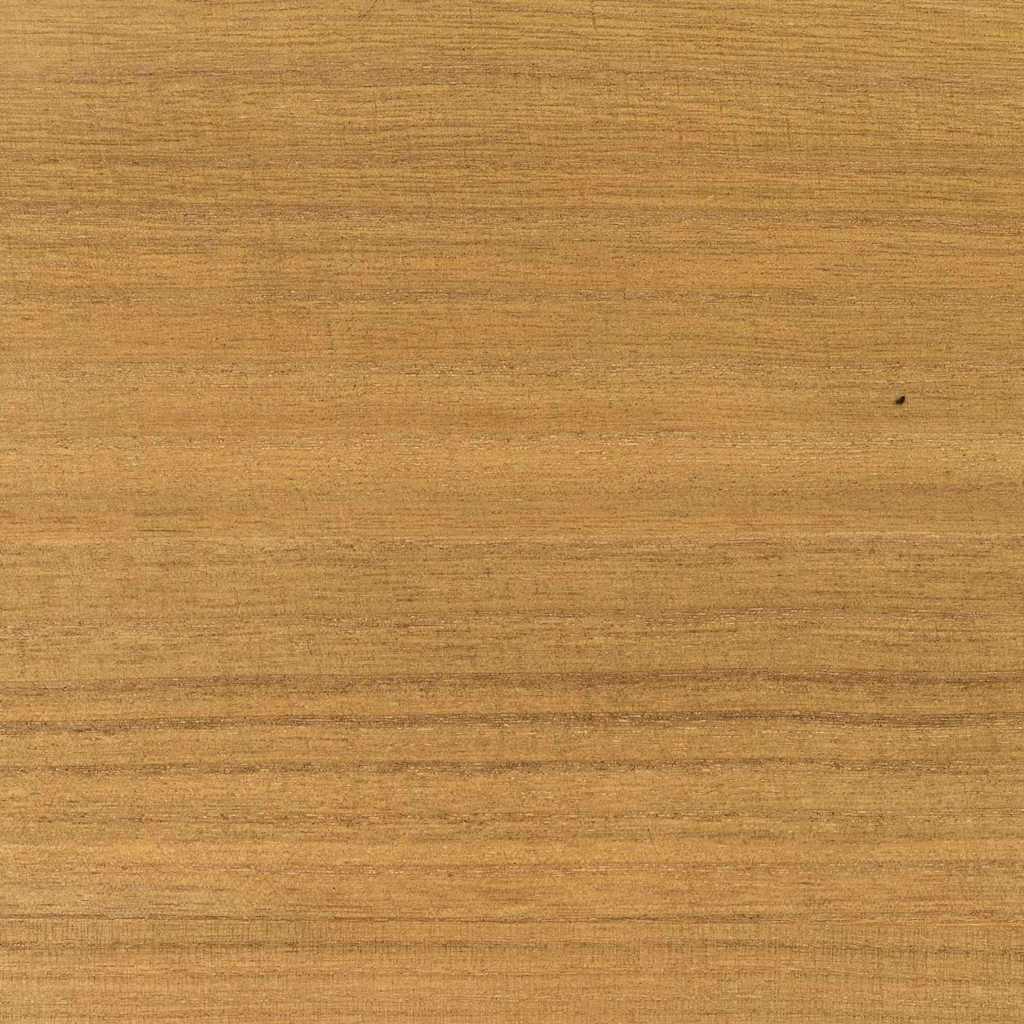 vidaXL Drewniana choinka z podstawą Brązowy 150 cm Lite drewno sosnowe