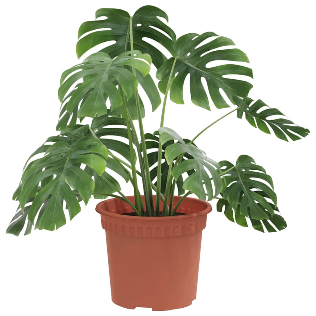 vidaXL Okrągła doniczka na kwiaty 24 pcs Czerwony ceglasty