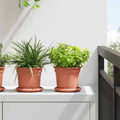 vidaXL Okrągły Talerzyk Kwiatowy 6 pcs Czerwony ceglasty Ø 14 x 2 cm