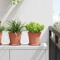 vidaXL Okrągły Talerzyk Kwiatowy 6 pcs Czerwony ceglasty Ø 14 x 2 cm