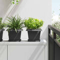 vidaXL Kwadratowa doniczka na kwiaty 6 pcs Czarny 23 x 23 x 17,5 cm