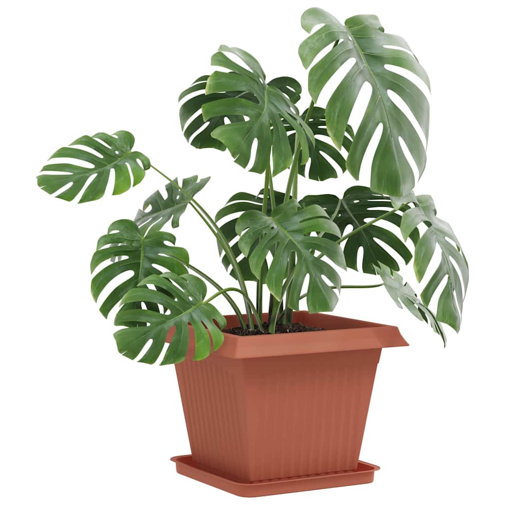 vidaXL Kwadratowa Taca na Kwiaty 24 pcs Czerwony ceglasty