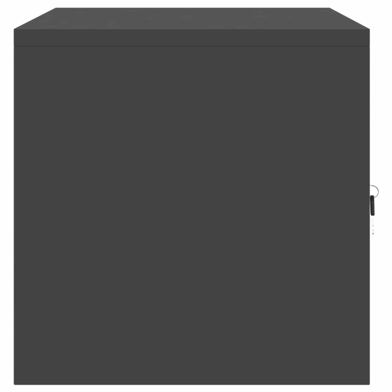 vidaXL Szafka do przechowywania Czarny 80 x 40 x 40 cm Stal