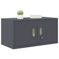 vidaXL Szafka do przechowywania Antracyt 80 x 40 x 40 cm Stal