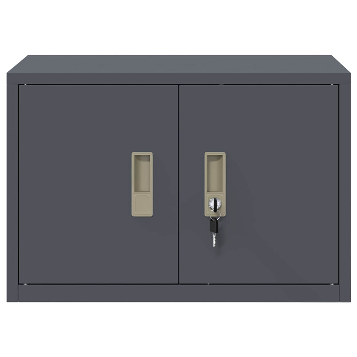 vidaXL Szafka do przechowywania Antracyt 60 x 40 x 40 cm Stal