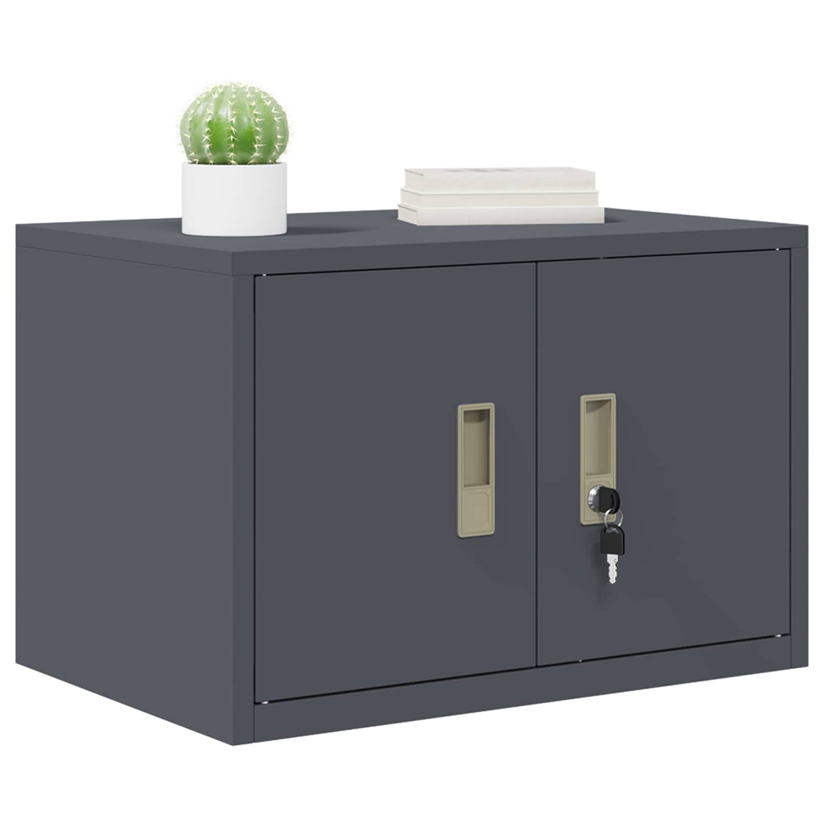 vidaXL Szafka do przechowywania Antracyt 60 x 40 x 40 cm Stal