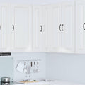 vidaXL Front do zmywarki Kalmar Wysoki połysk biały 57 x 57 x 100 cm