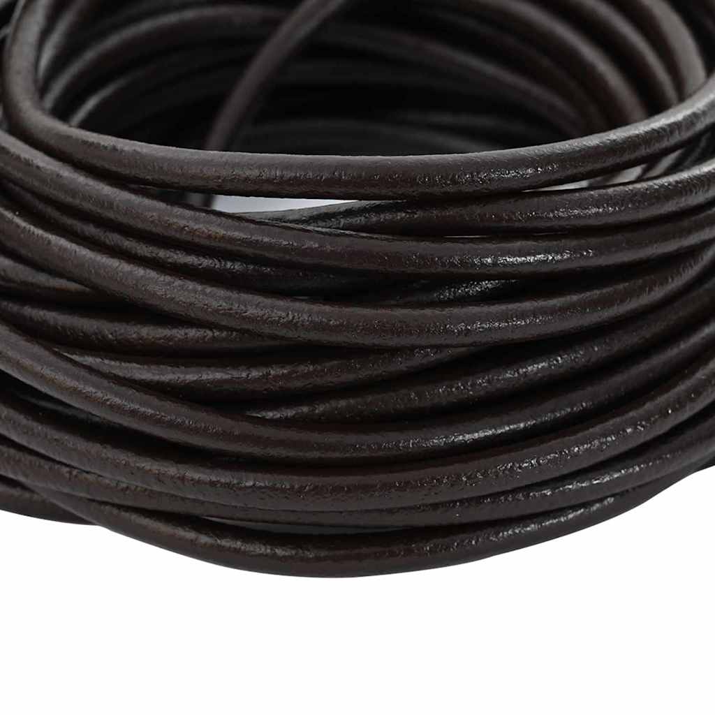 vidaXL Sznur skórzany Ciemny brąz Ø5 mm x 10 m Skóra