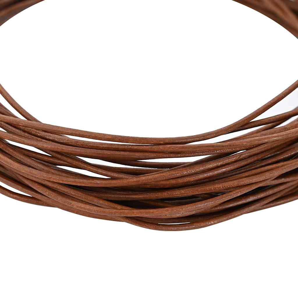 vidaXL Sznur skórzany Jasny Brąz Ø2,5 mm x 5 m Skóra