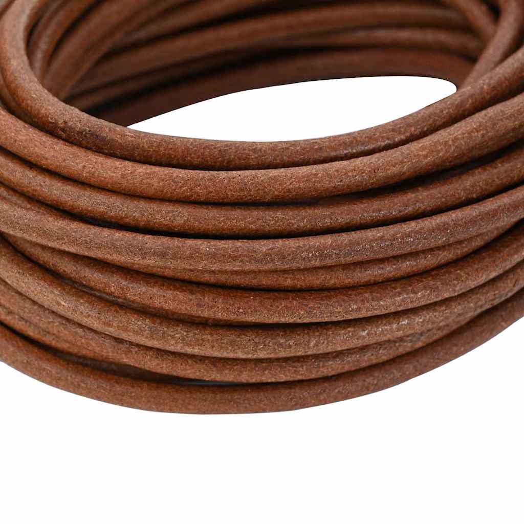vidaXL Sznur skórzany Jasny Brąz Ø4 mm x 5 m Skóra