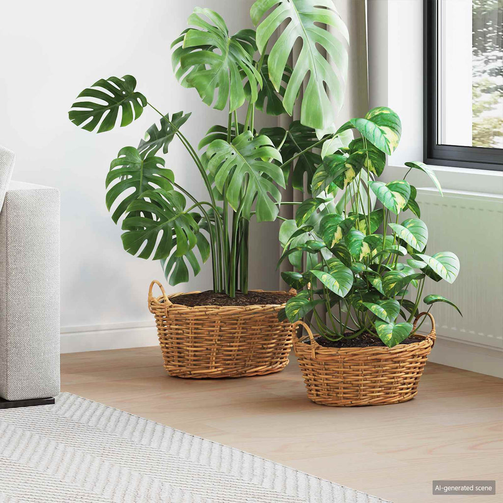 vidaXL Kosz na rośliny 2 szt. Naturalny Brąz Rattan Kubu