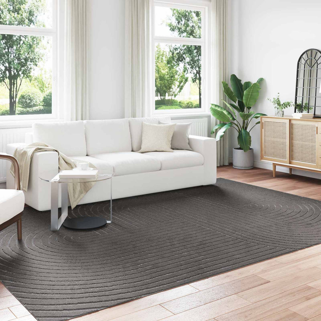 vidaXL Dywany pokojowe PALMERAS Antracyt 280 x 200 cm Poliester