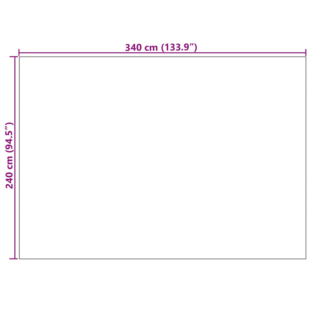 vidaXL Dywany pokojowe PALMERAS Antracyt 280 x 200 cm Poliester