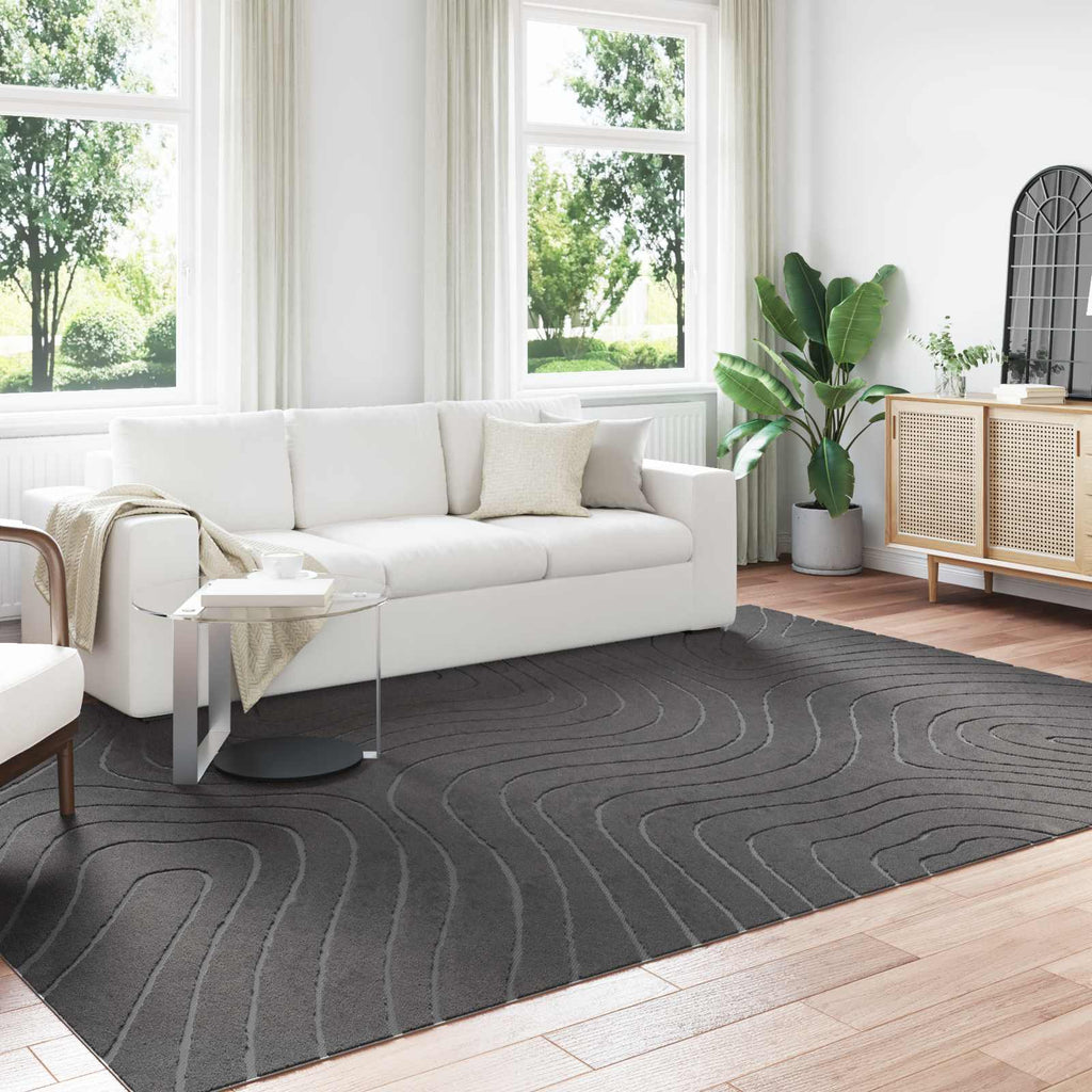 vidaXL Dywany pokojowe PALMERAS Antracyt 340 x 240 cm Poliester