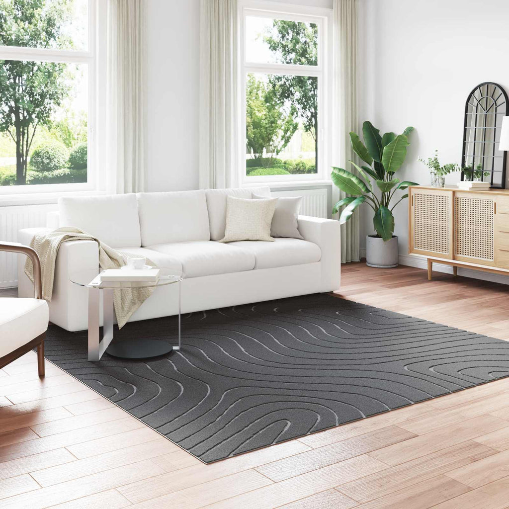 vidaXL Dywany pokojowe Kwadrat PALMERAS Antracyt 240 x 240 cm