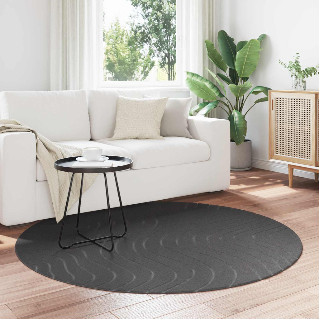 vidaXL Dywany pokojowe Okrągły PALMERAS Antracyt Ø 120 CM Poliester