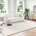 vidaXL Dywany pokojowe SIROLO Kremowy 340 x 240 cm Poliester