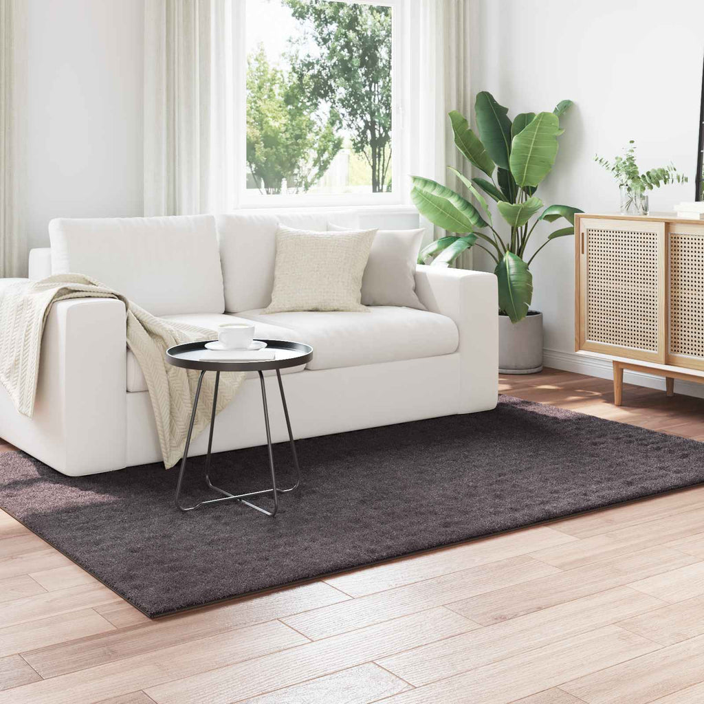 vidaXL Dywany pokojowe SIROLO Antracyt 170 x 120 cm Poliester