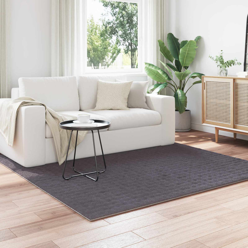 vidaXL Dywany pokojowe Kwadrat SIROLO Antracyt 200 x 200 cm Poliester