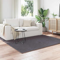 vidaXL Dywany pokojowe Kwadrat SIROLO Antracyt 200 x 200 cm Poliester
