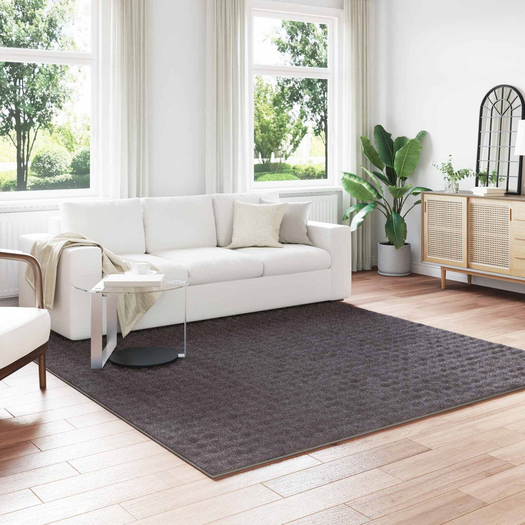 vidaXL Dywany pokojowe Kwadrat SIROLO Antracyt 240 x 240 cm Poliester
